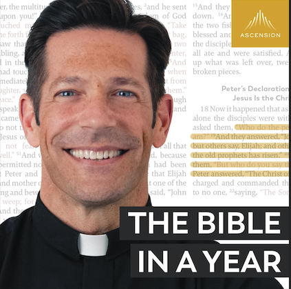 The Bible in a Year (with Fr. Mike Schmitz)